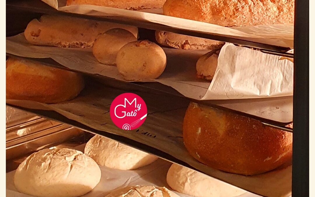 Cours pain à Lyon : Découvrez tous les secrets de boulangers avec MyGatô
